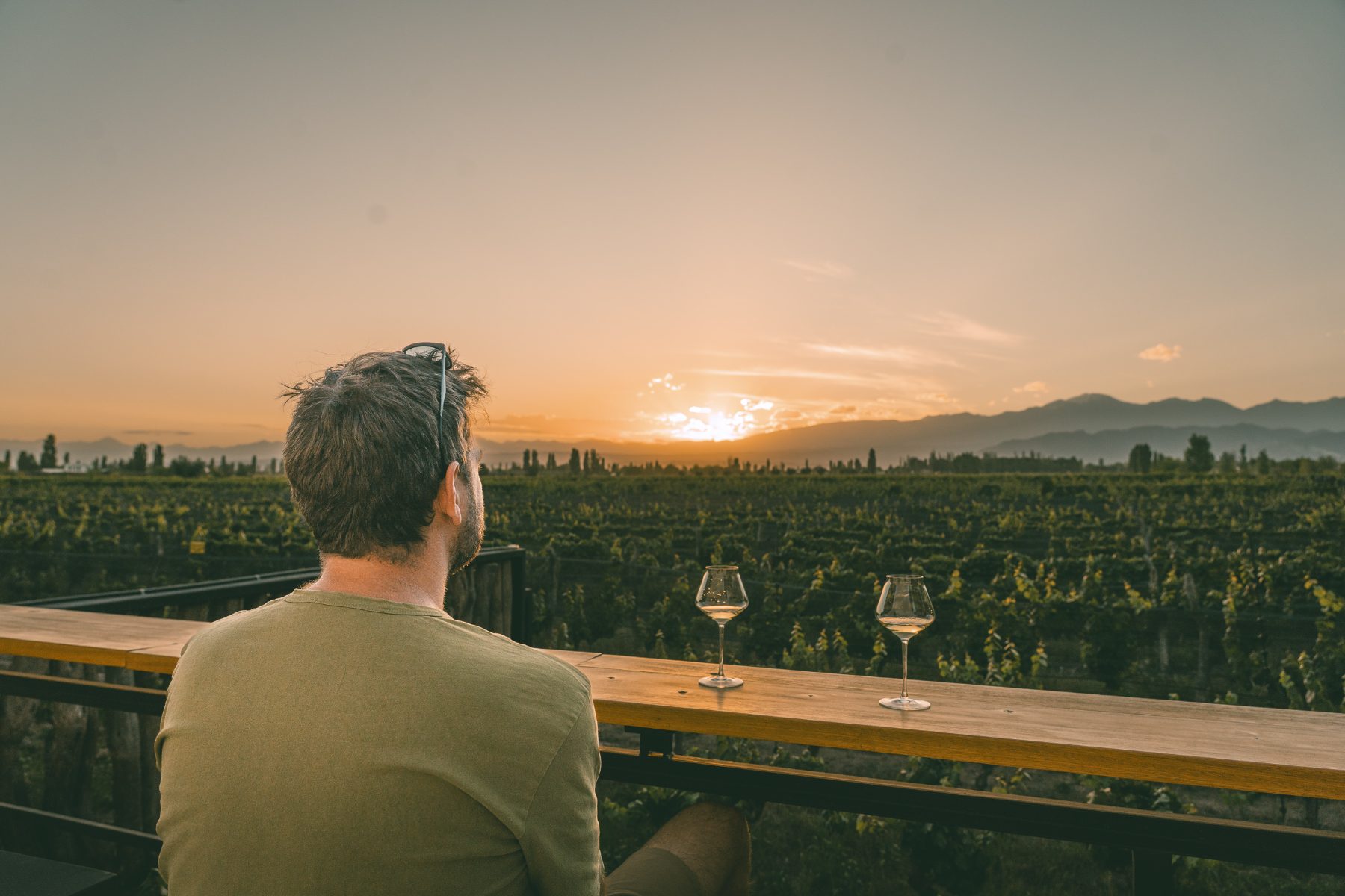 A glass of Ciclo Andino Malbec in the vineyard at sunset